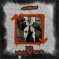 DMX - PARTY UP  - CURLYHEADS RE-UP (FREE DOWNLOAD)