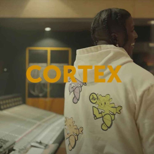 Cortex 2 (rough draft/unmastered)