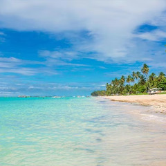 Brazil Travel