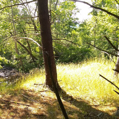 [Beat] My Dick Into Oblivion (Prod.TODE!)