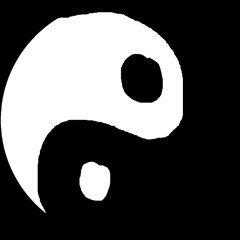 The Beauty and Melancholy of Life