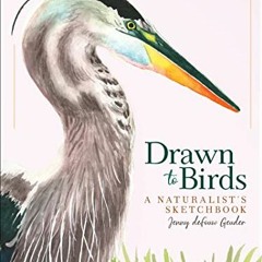 [Read] PDF 🖍️ Drawn to Birds: A Naturalist's Sketchbook (Jenny Geuder Art) by  Jenny