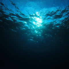 심해(Deep in the water)