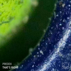 Premiere: Predex & BATU (TR) - For a While [REBA]