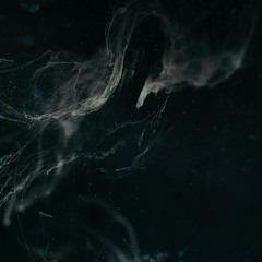 Through Stillness and Dark