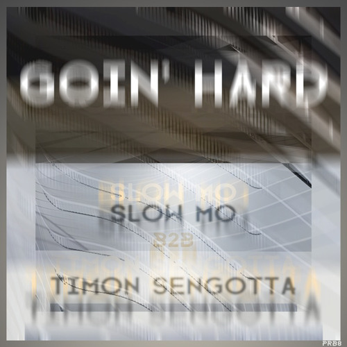 GOIN‘ HARD || SLOW.MO b2b TIMON SENGOTTA