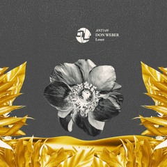 Nov II