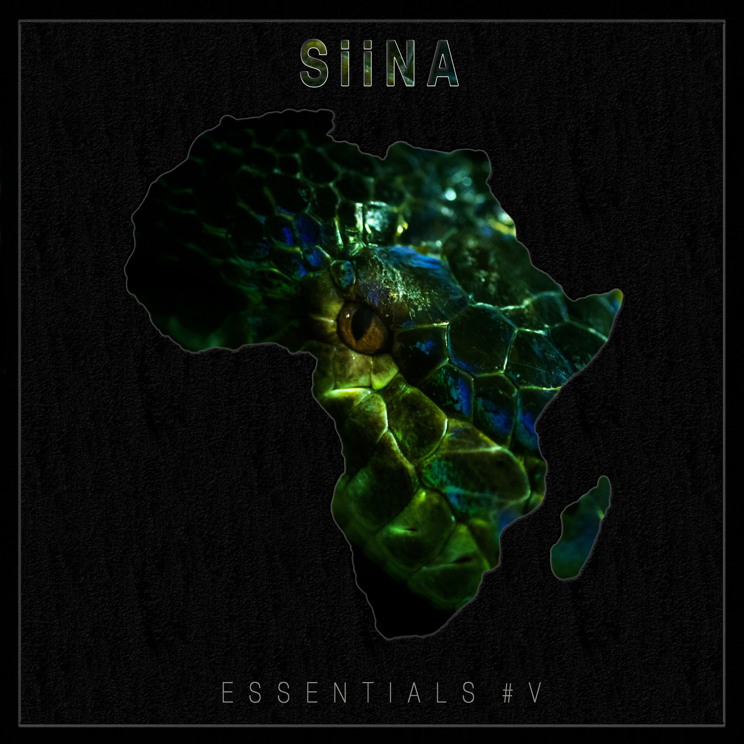 Essentials #5 episode artwork