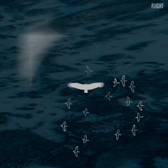 Flight