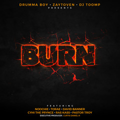 Burn (feat. Noochie, Ras Kass & Torae)