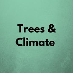 The Climate Report #328 | Trees & Climate | 3-7-22