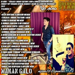 DJ ADID - '' TERLALU ( INDAH YASTAMI ) NEW & SEMATA KARENAMU NEW ''FUNKOT TOP( NIJAM14 & GUNTUR)2022