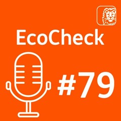 EcoCheck #79 - De kaarten liggen gunstig voor goud