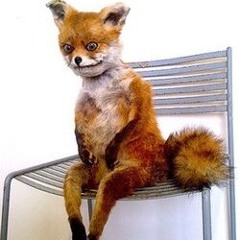 TakieHockiKlotzKI (HVS)