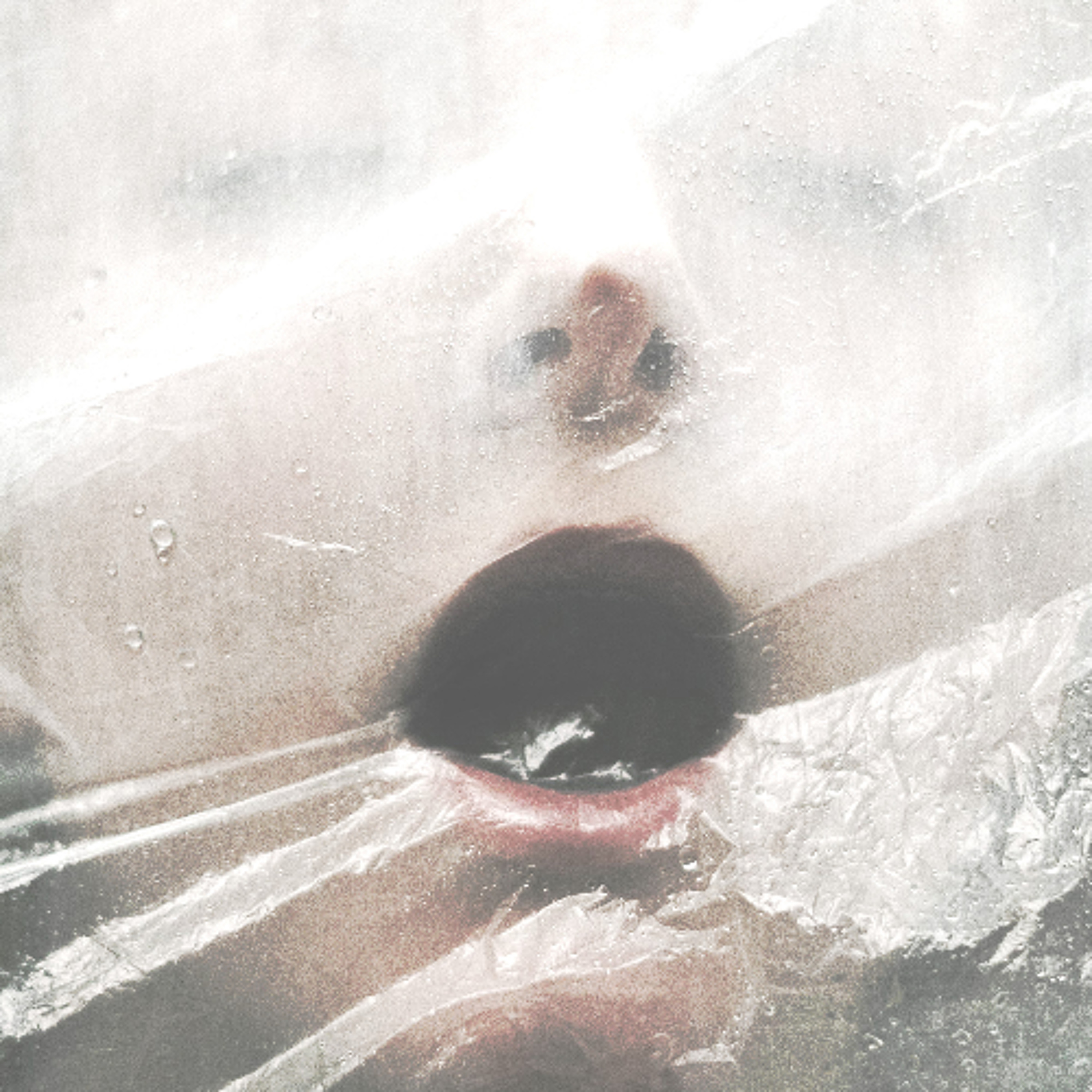 Praying For Peace disquiet0686 episode artwork