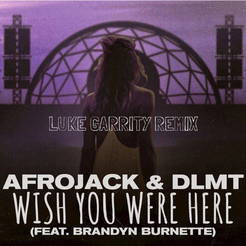 Afrojack & DLMT - Wish You Were Here (feat. Brandyn Burnette) - Luke Garrity Remix