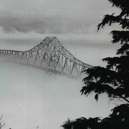 Bridge To Nowhere