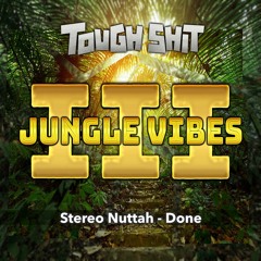 Stereo Nuttah - Done