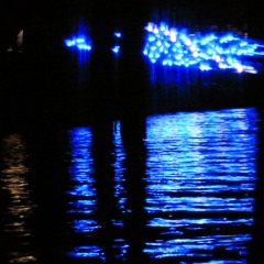 I Miss The Sirens