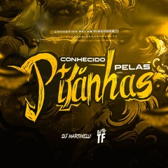 CONHECIDO PELAS PIRANHAS 🎣 - DJ João no Beat, MC Jhowzin & MC THR (DJ TF & DJ Martinelli)