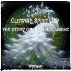 Glowing Spirit #29 - The Story Of The Phasianidae