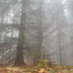 7rmn75 0f my 50ul // produced by  _dweptz