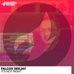 Falcos Deejay - It's Not Right (Radio Edit)