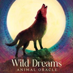 Mantz & Mitchell - 06 - 22 - 24 - Wild Dreams Animal Oracle Cards