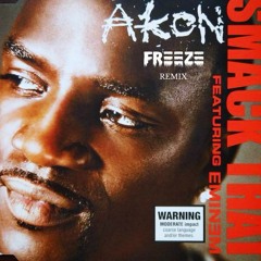 Akon - Smack That (FREEZE Remix)