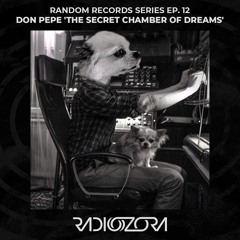DON PEPE 'The Secret Chamber Of Dreams' | Random Records Series Ep. 12 | 09/07/2022