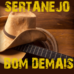 SERTANEJO RAIZ DOWNLOAD ↓