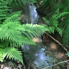 𝔭𝔯𝔢𝔰𝔢𝔫𝔠𝔢 ))) x PLK - Nymph's Orgasm