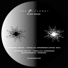 PREMIERE: Unknown Artist - Parallel Dimension (Instrumental Version)[UNKPBS012]