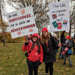 Jeunes enseignants : des nouvelles du front