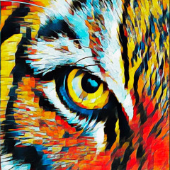 #006VYAGHRA Afro sunrise Set from BALI.