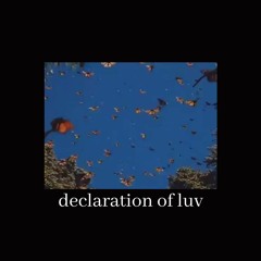 declaration of luv