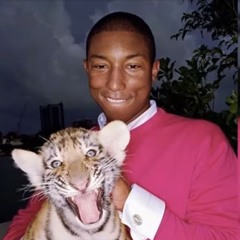 len333 - feel like fetty