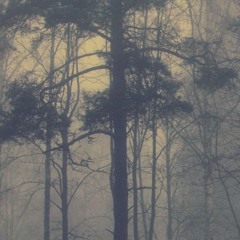 Silhouette - Misty Forest V2