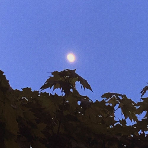 A Quiet Way To Wait It Out