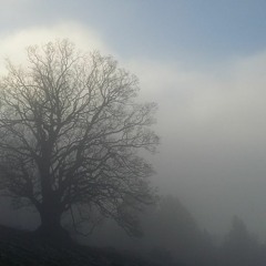 Im Nebel
