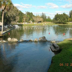 Best Things To Do In Warm Mineral Springs Florida Tours Review