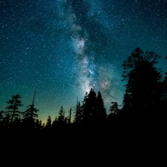 Atmospheric Jungle and Drum & Bass Mix - adrift in the forest :: Jungletrain.net : February 3rd 2021