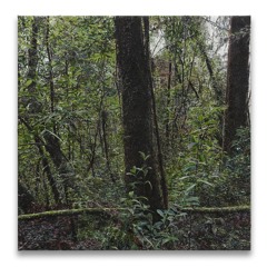 TALK, Biodiversirty and Betadiversity, 26. April 2024