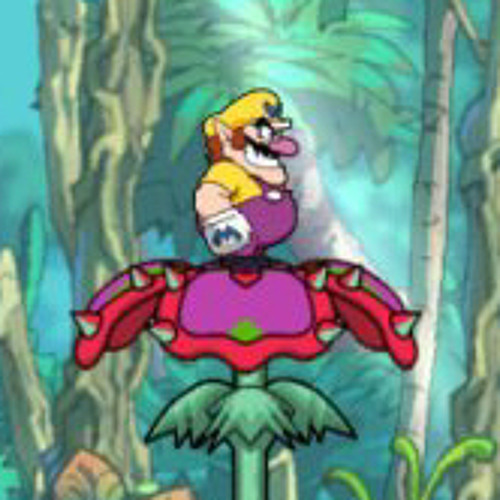 Stream Wario Land Shake It Savannah Valley by GraphicPoptart Listen