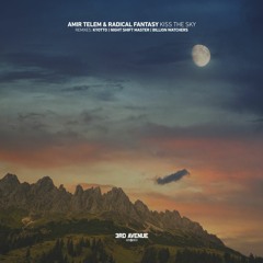 Amir Telem, Radical Fantasy - Vasudevaya (Billion Watchers Remix) [3rd Avenue]