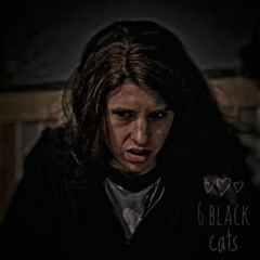 13 bands (6 black cats)