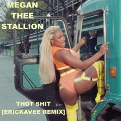 Megan Thee Stallion-Thot Shit [ErickaVee Remix]