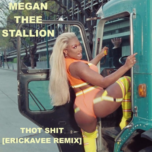 Megan Thee Stallion-Thot Shit [ErickaVee Remix] (Supported by Skrillex)