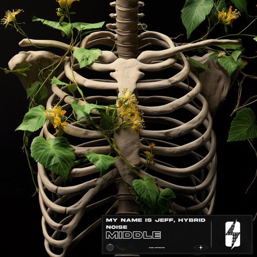 My Name Is Jeff & Hybrid Noise - Middle