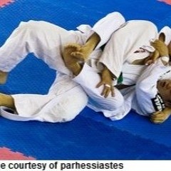 Japan\\\\\\'s Ultimate Martial Art: Jujitsu Before 1882 The Classical Japanese Art Of Self-Defense